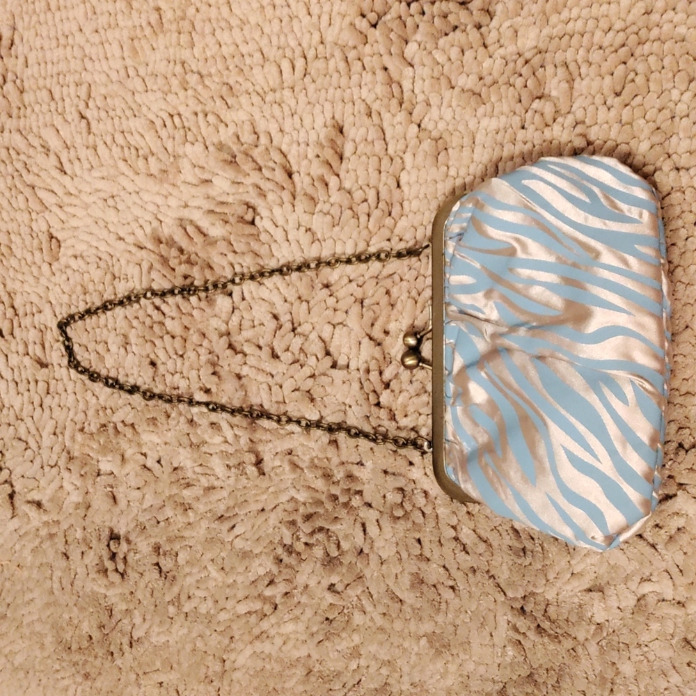 Party purse